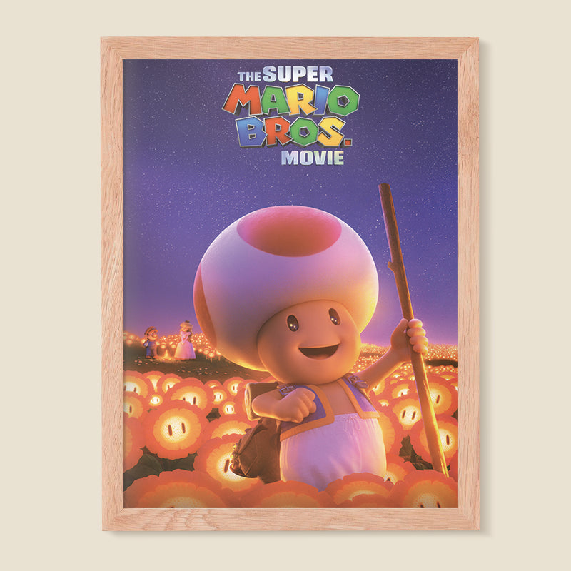 Mario Bros 03