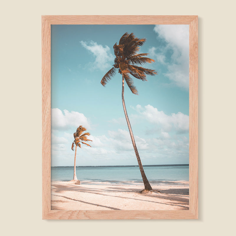 Paisaje 70