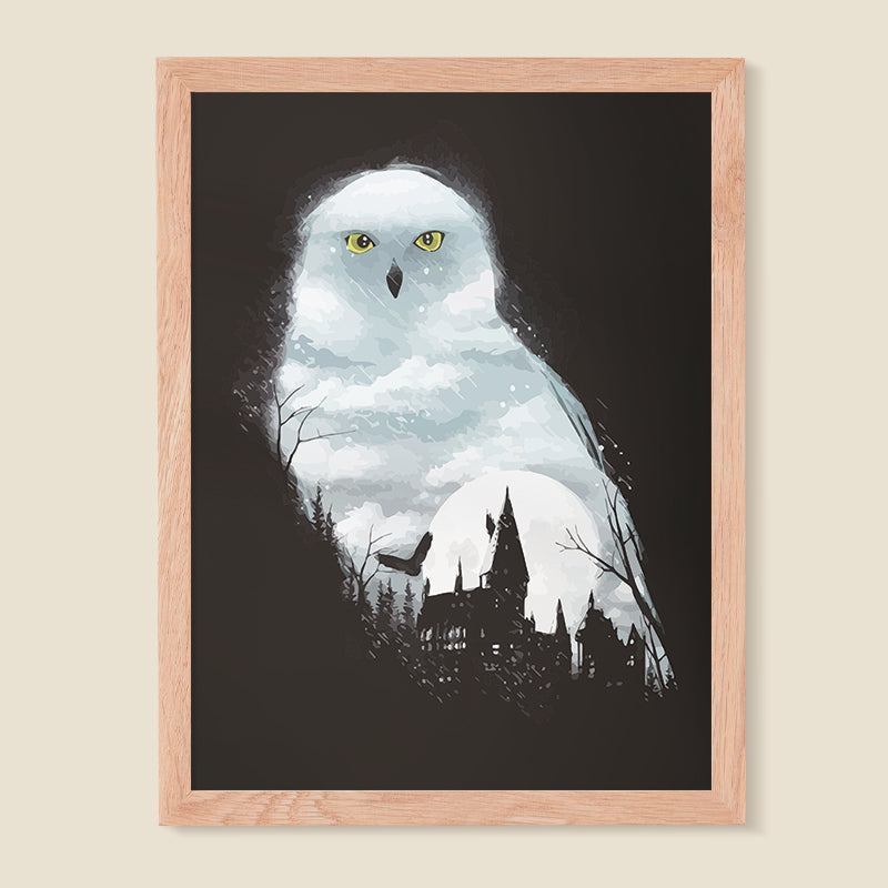 Harry Potter 01