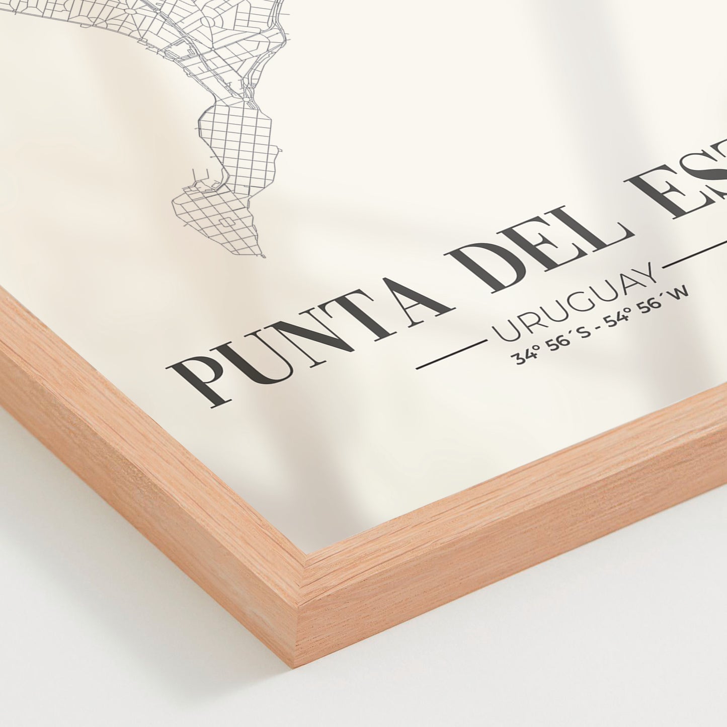 Mapa Punta del Este 01