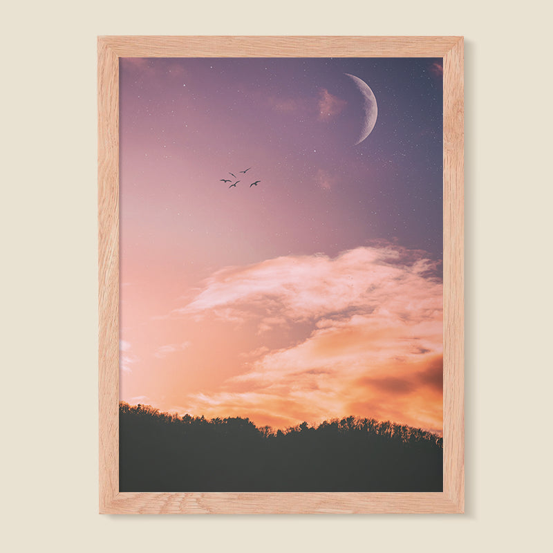 Paisaje 16