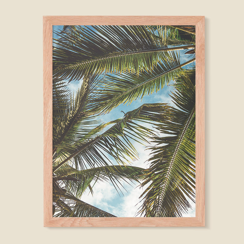 Paisaje 51