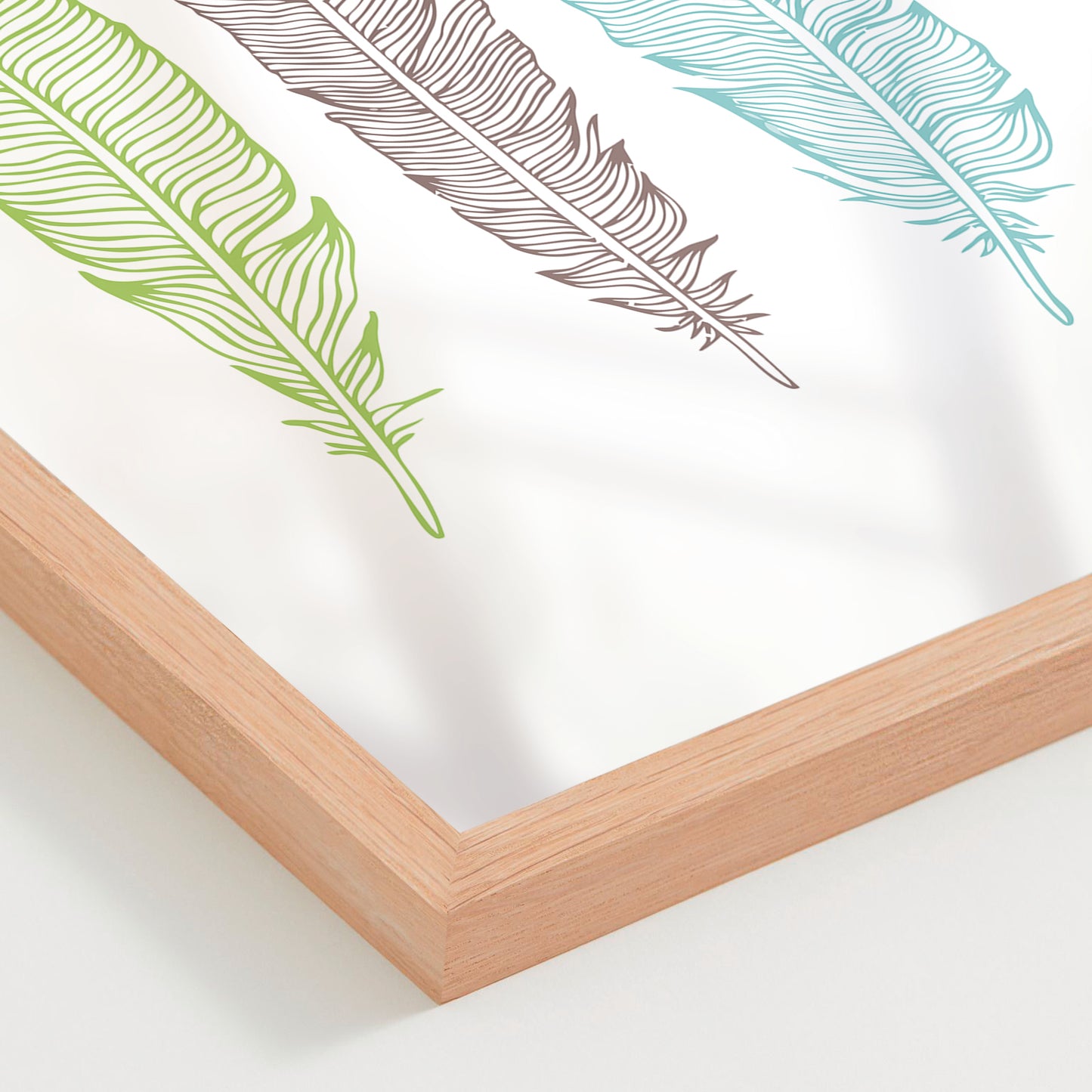 Plumas 01
