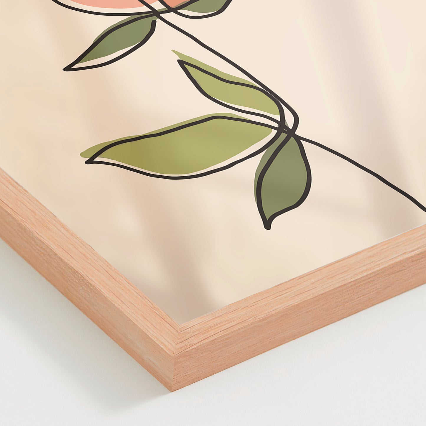Rosa 01