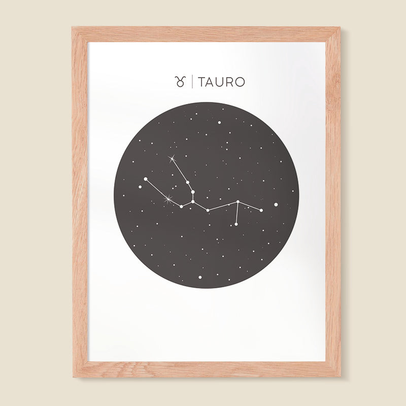 Tauro 01