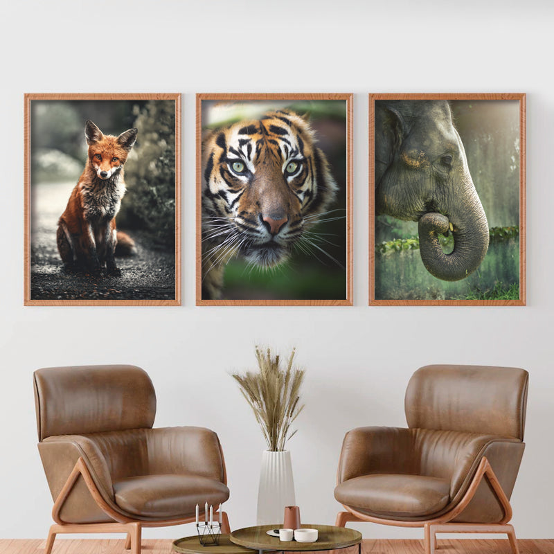 Set Wild 01
