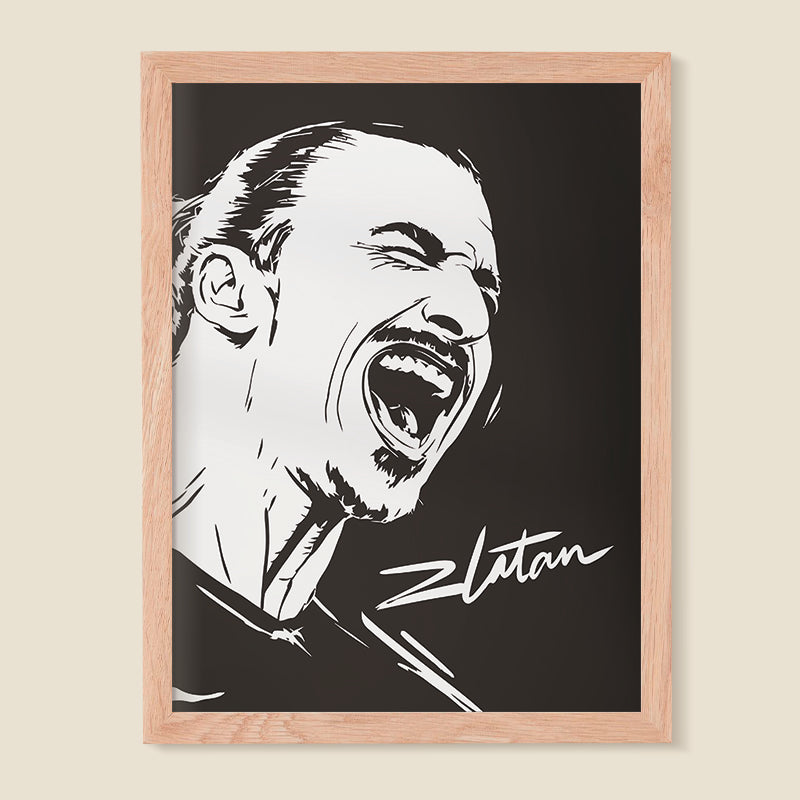 Zlatan Ibrahimovic 01