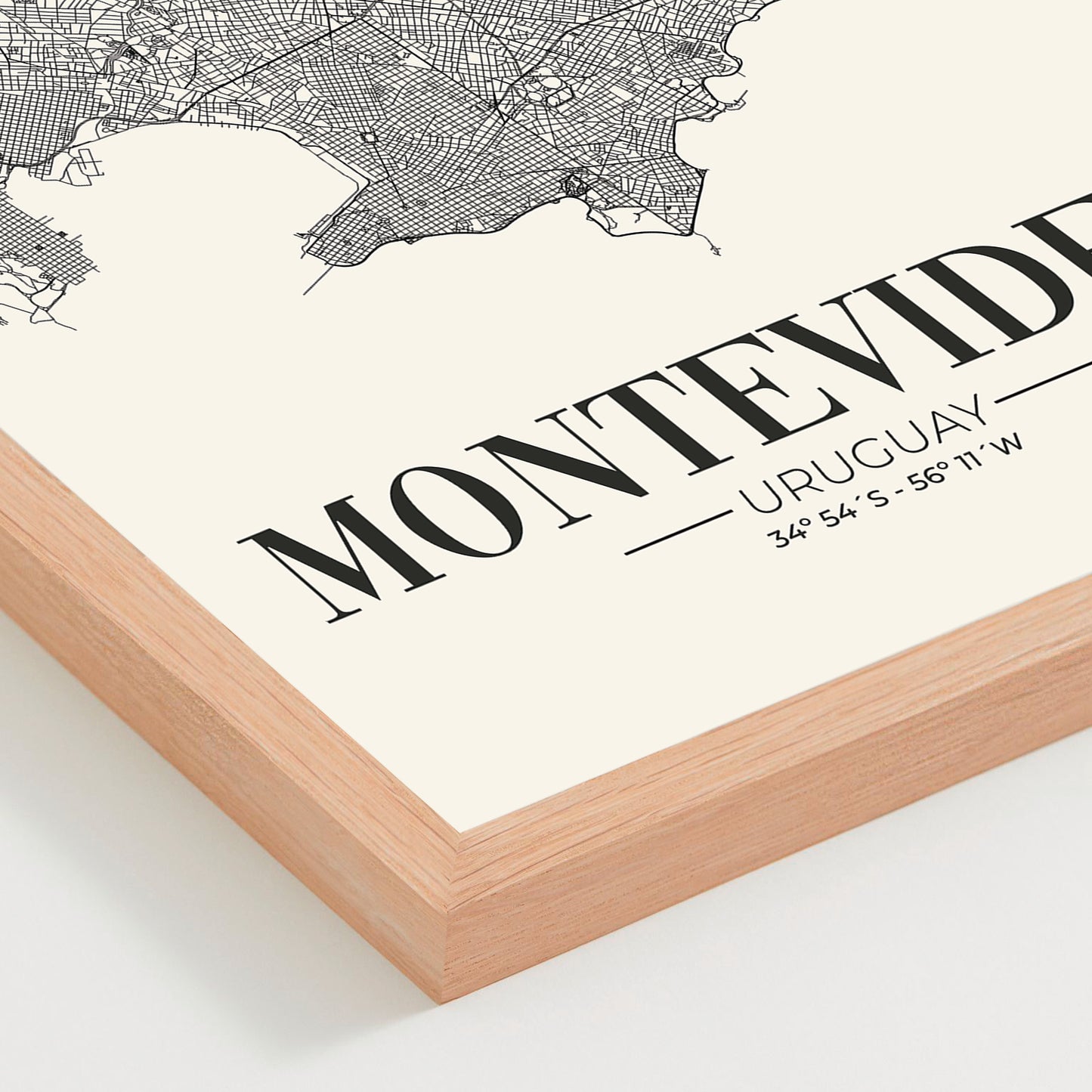 Mapa Montevideo 01
