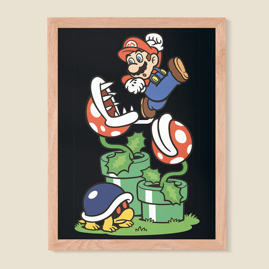 Mario Bros 05