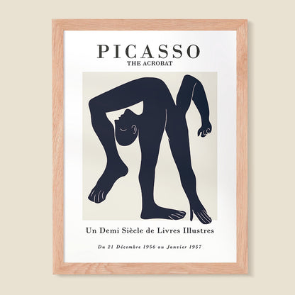 Picasso 08