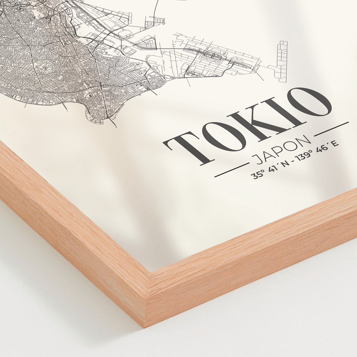 Mapa Tokio 01